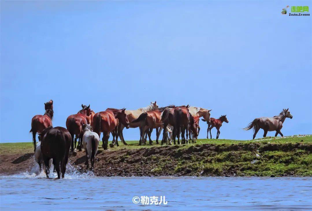 内蒙自驾游_自驾内蒙旅游攻略自助游攻略_自驾内蒙游路线/