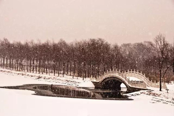 冬天旅游城市推荐_冬天最佳旅游地_适合冬天去旅游的城市/