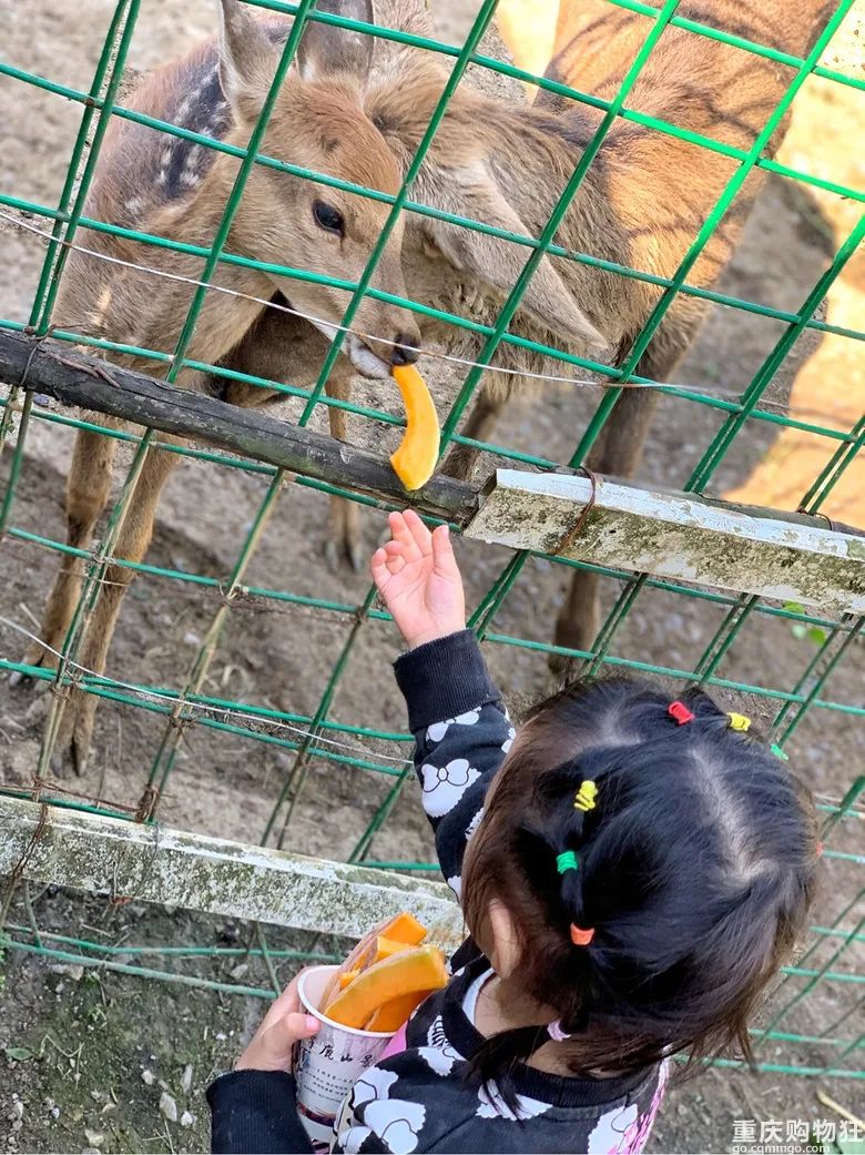 重庆住宿攻略_重庆游住宿攻略_重庆住宿哪里方便/