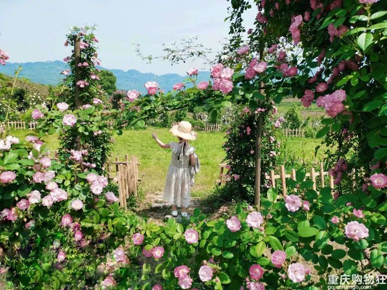 重庆住宿哪里方便_重庆住宿攻略_重庆游住宿攻略/