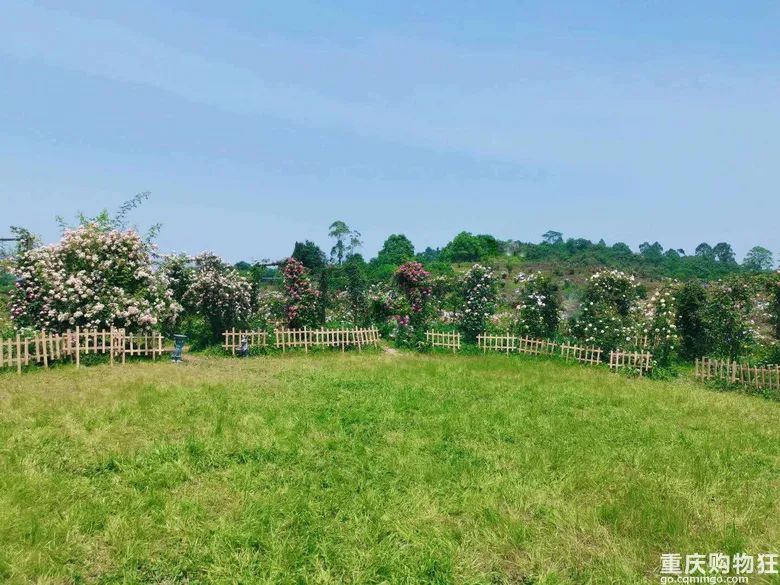 重庆住宿攻略_重庆游住宿攻略_重庆住宿哪里方便/