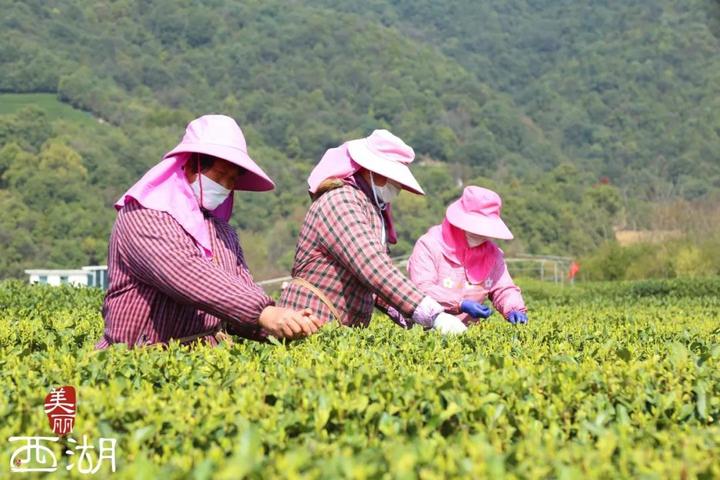 骑行游_骑行游中国_骑行游戏/