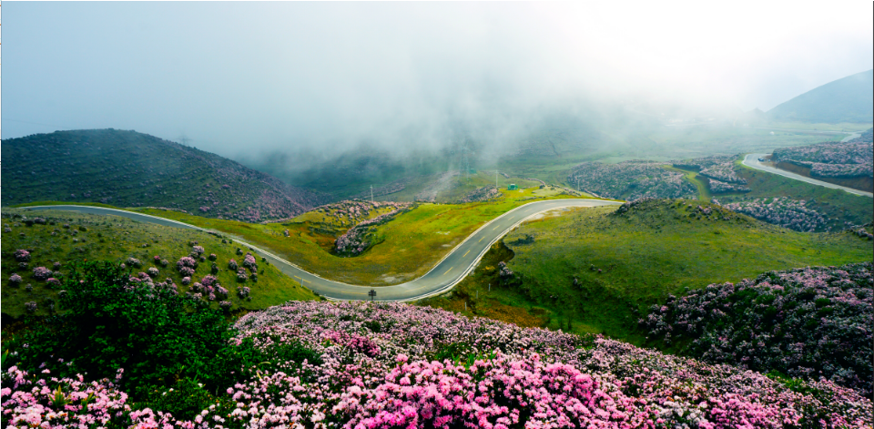 春季旅游景区哪里好玩_春季旅游景点排行榜_春季旅游景点推荐/