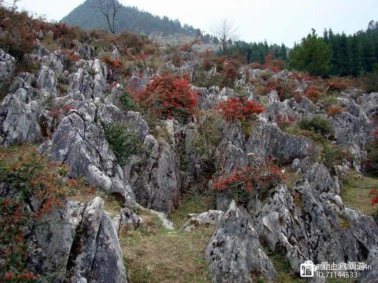 自驾重庆游攻略_自驾重庆游三峡两日游攻略图_重庆自驾游/