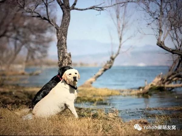 云南旅行禁忌_风俗禁忌云南旅游有哪些_云南旅游风俗禁忌/