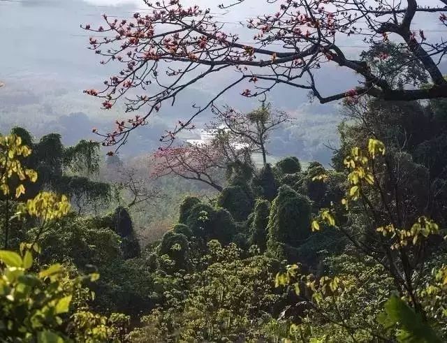 三亚景点攻略旅游推荐去哪里玩_三亚旅游攻略必去景点推荐_三亚景点游玩攻略/