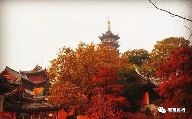 南京旅游必去十大景点推荐_去南宁旅游一般都是那些景点_冬天去融水旅游的景点/