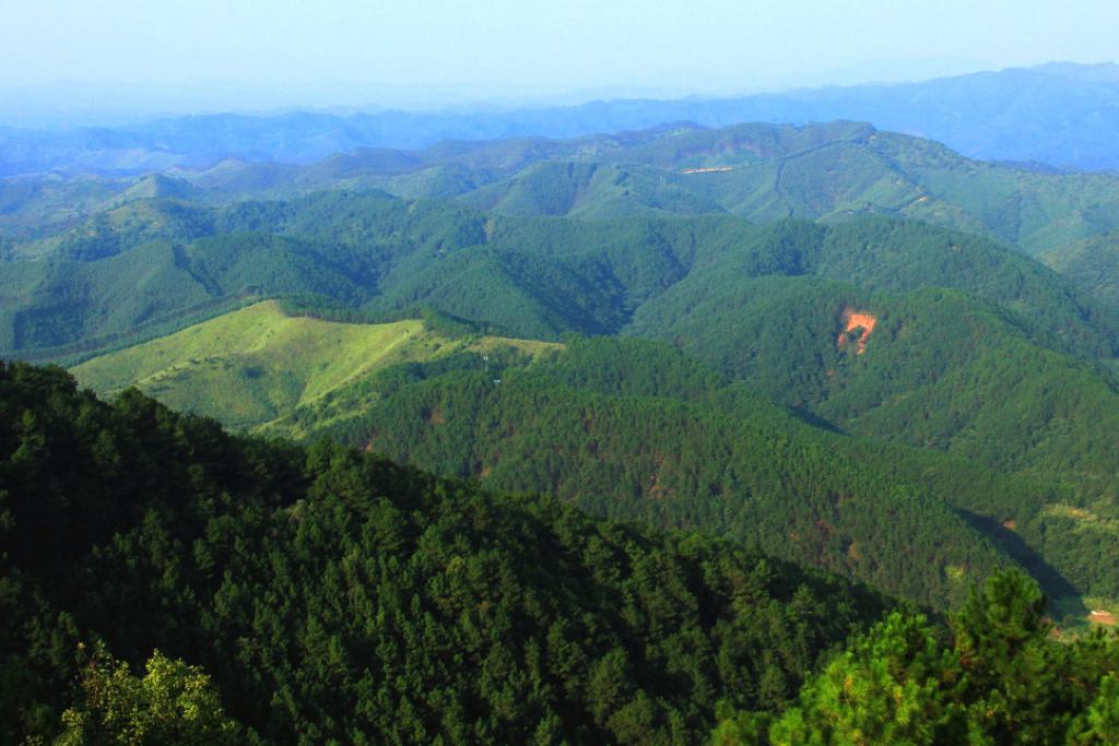 梧州旅游必去十大景点排名（广西梧州旅游景点介绍）/