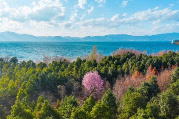 去云南旅游最佳攻略_云南旅游最佳去处_云南攻略必去景点/