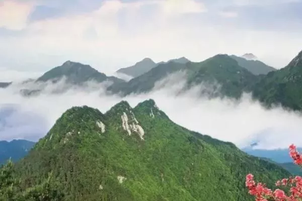 湖北旅游年票包括哪些景点/