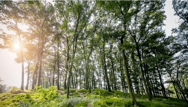 骑行游记_骑行游中国_骑行游/