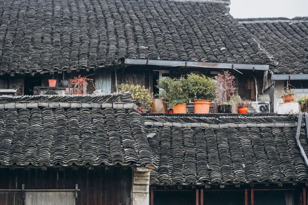 旗乌镇酒店下有哪些酒店_乌镇风景区酒店_乌镇旗下酒店有哪些/