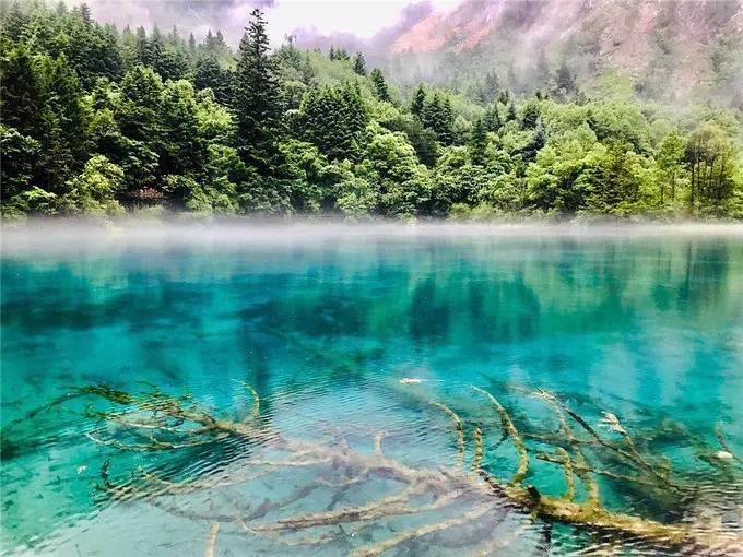 九寨沟旅游多少钱一个人_九寨沟旅游_九寨沟旅游攻略必去景点/