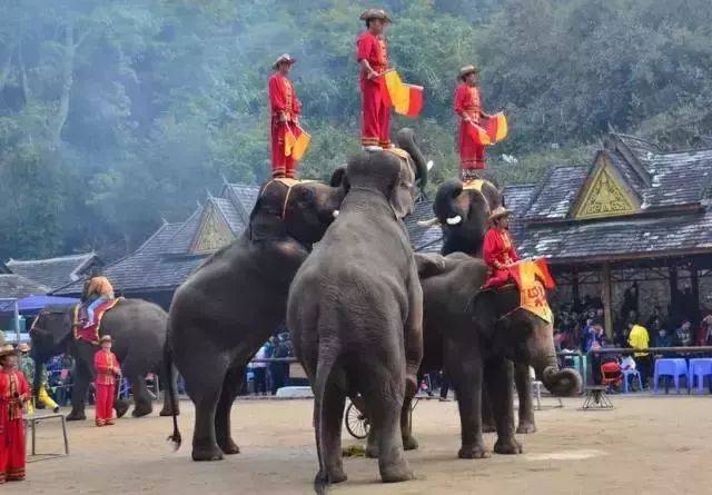 云南旅途景点_云南旅游攻略必去景点排名_云南旅游景点推荐/