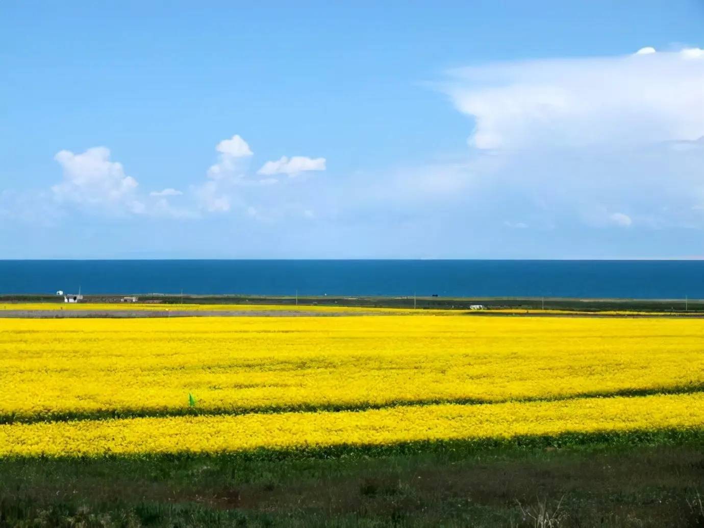 青海自驾游_青海自驾游攻略及花费_青海自驾游开什么车合适/