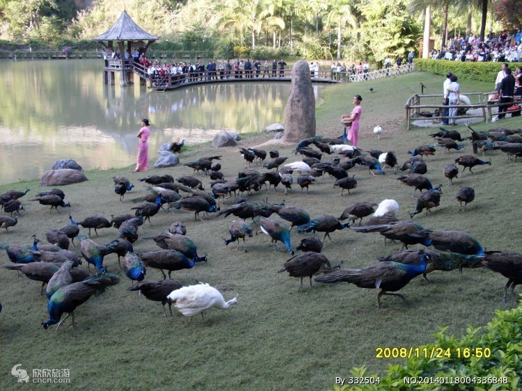 云南旅途景点_云南旅游攻略必去景点排名_云南旅游景点推荐/