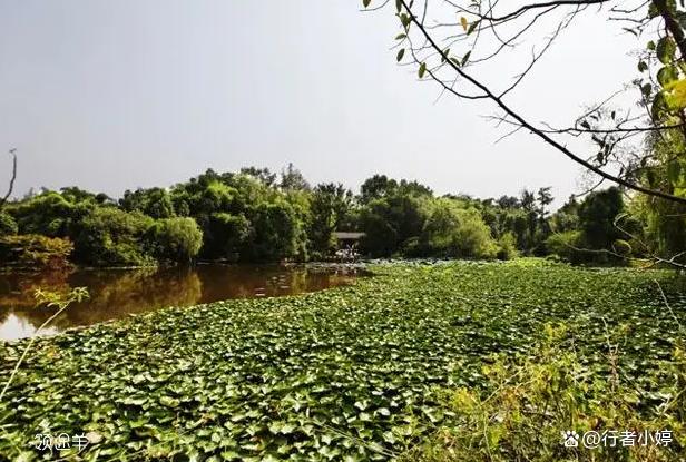 四川旅游必去景点推荐_四川旅游必去十大景点推荐_四川旅游地方推荐/