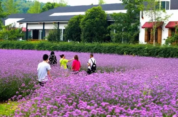 重庆五月适合去哪里旅游/