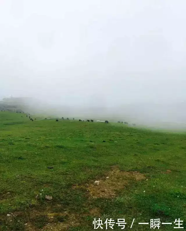 成都周边自驾车旅游_成都周边自驾游_自驾成都周边一日游/