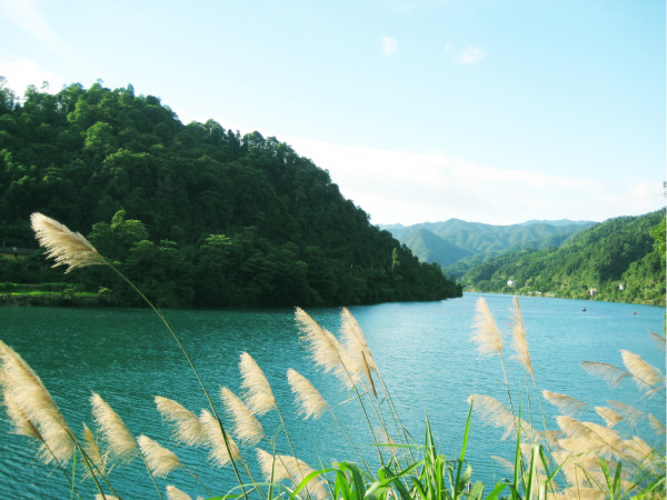 小东江住宿哪里好_小东江住宿攻略_东江旅馆怎么样/