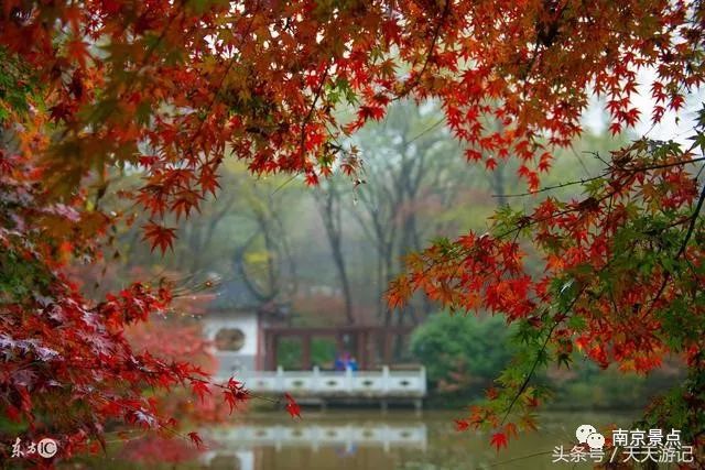 去宁夏旅游有哪些景点_南京旅游必去十大景点推荐_去巴马旅游有哪些景点/