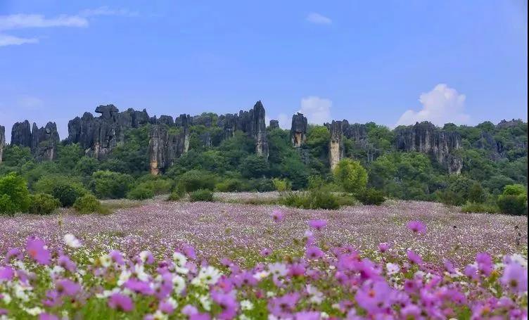 云南旅游最佳季节_云南旅游哪个季节最好的选择_云南旅游攻略季节/