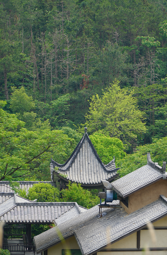 武汉自驾游_自驾去武汉旅游推荐_去武汉自驾游/