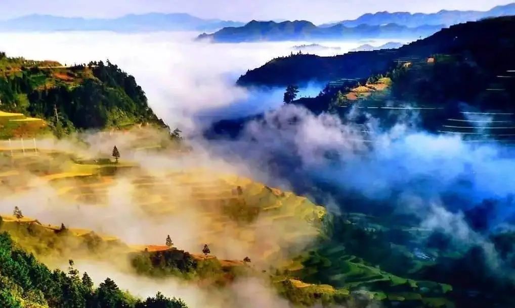 贵州荔波旅游发展集团_贵州荔波旅游攻略景点必去_贵州荔波旅游地图/