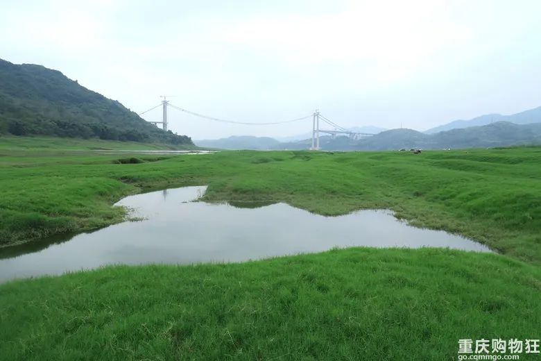 重庆住宿哪里方便_重庆游住宿攻略_重庆住宿攻略/