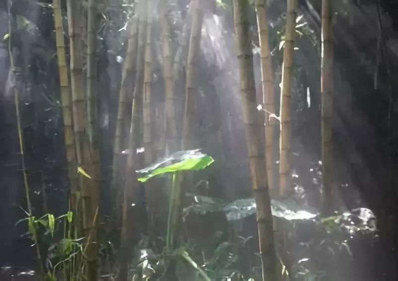 深圳旅游攻略景点推荐_兰州旅游攻略景点必去_北戴河旅游攻略必玩的景点/