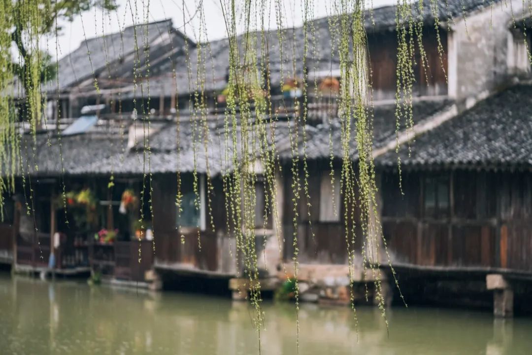 乌镇旗下酒店有哪些_乌镇风景区酒店_旗乌镇酒店下有哪些酒店/