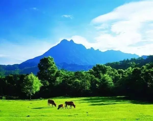 三亚景点游玩攻略_三亚景点攻略旅游推荐去哪里玩_三亚旅游攻略必去景点推荐/