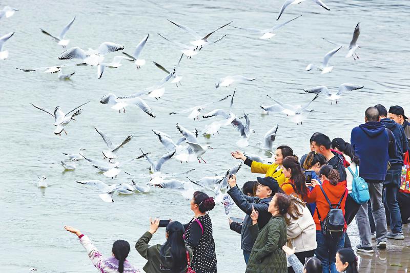 蜀南竹海天气_蜀南_蜀南竹海/