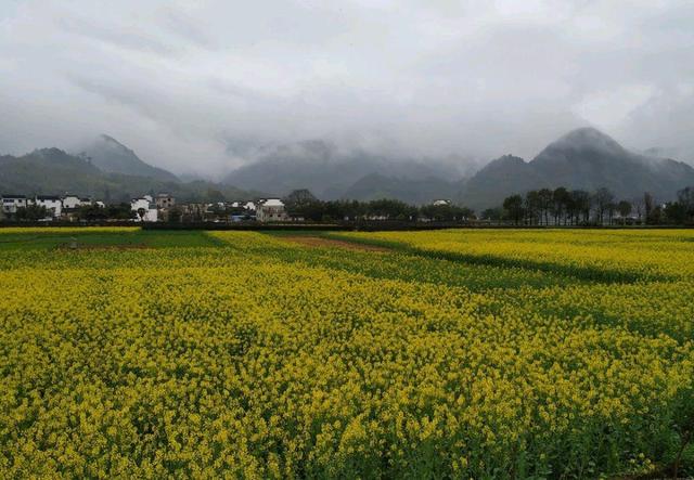 江苏旅游景点推荐_江苏旅游必去景点推荐_江苏推荐的旅游景点/