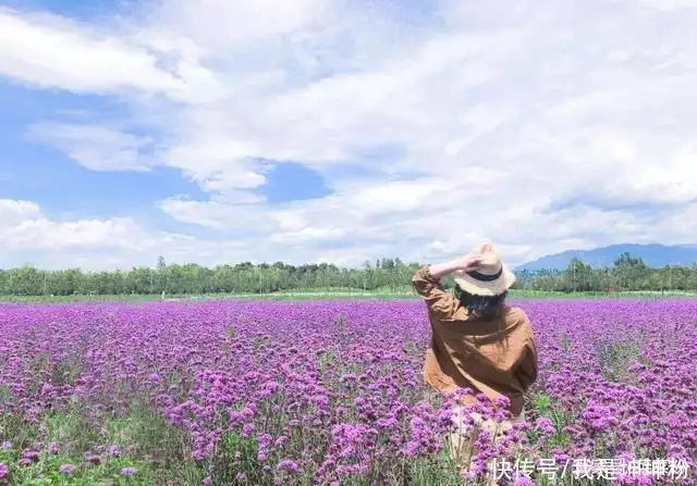 云南巧家附近景点_云南富源景点_云南旅游景点推荐/